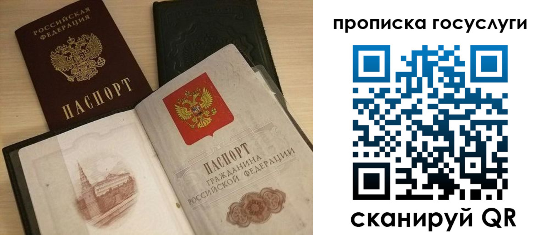 прописка иностранных граждан в Мурманской области